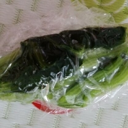 小松菜の冷凍保存便利ですね♪とても助かります(*^^*)♡ありがとうございます☆今から昼ご飯(*´▽｀*)